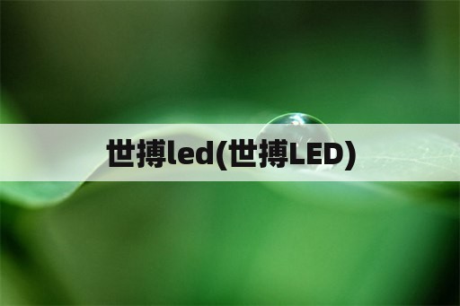 世搏led(世搏LED)