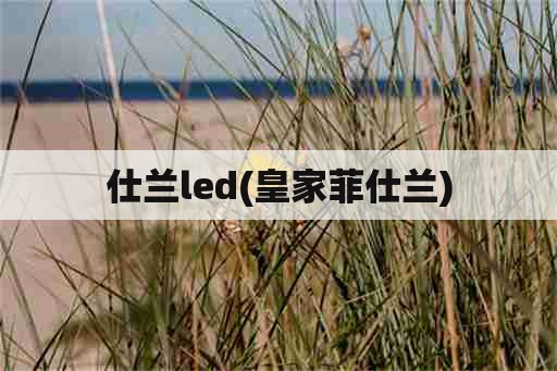 仕兰led(皇家菲仕兰)