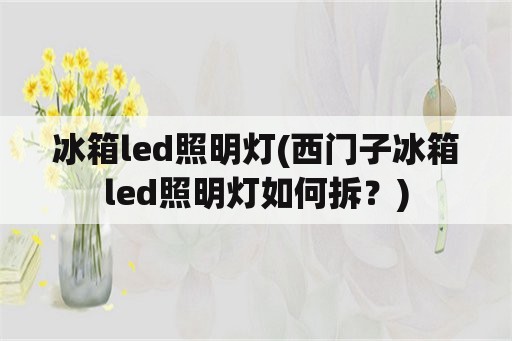 冰箱led照明灯(西门子冰箱led照明灯如何拆？)