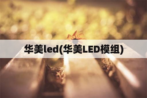 华美led(华美LED模组)