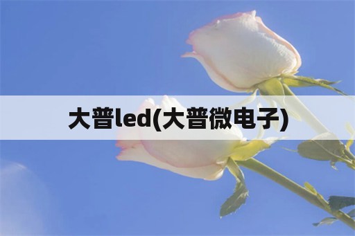 大普led(大普微电子)