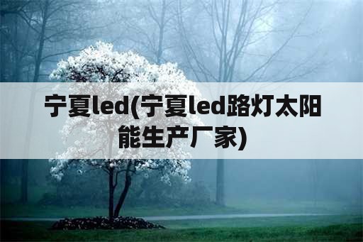 宁夏led(宁夏led路灯太阳能生产厂家)