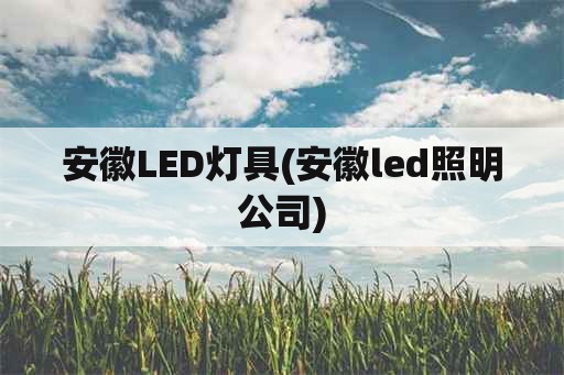 安徽LED灯具(安徽led照明公司)