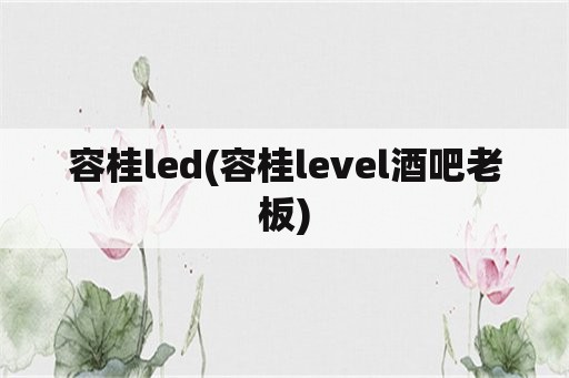 容桂led(容桂level酒吧老板)