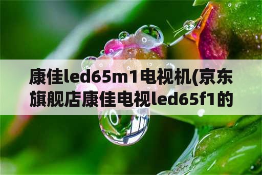 康佳led65m1电视机(京东旗舰店康佳电视led65f1的价格？)