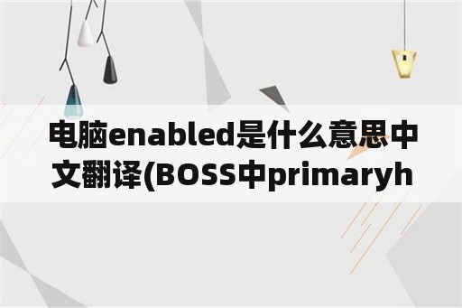 电脑enabled是什么意思中文翻译(BOSS中primaryharddisksecurity的意思？)