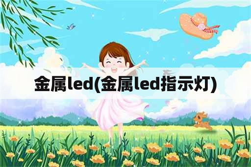 金属led(金属led指示灯)