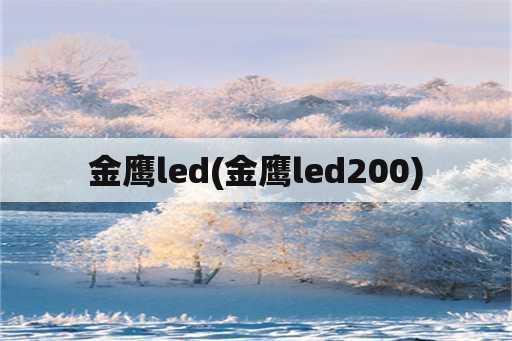 金鹰led(金鹰led200)