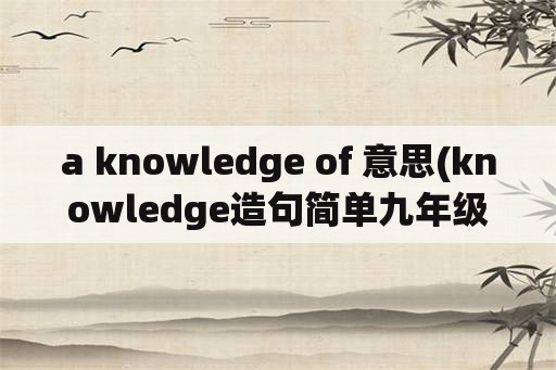 a knowledge of 意思(knowledge造句简单九年级？)