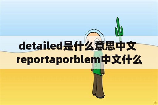 detailed是什么意思中文 reportaporblem中文什么意思？