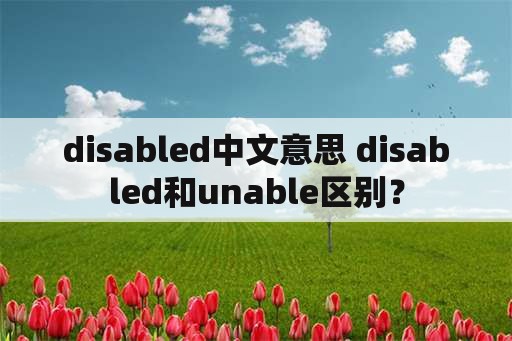disabled中文意思 disabled和unable区别？