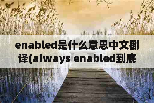 enabled是什么意思中文翻译(always enabled到底是什么意思啊？)