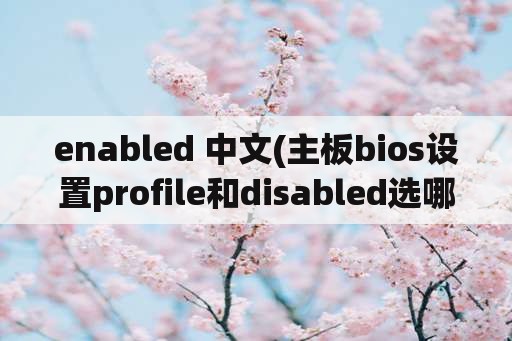 enabled 中文(主板bios设置profile和disabled选哪个？)