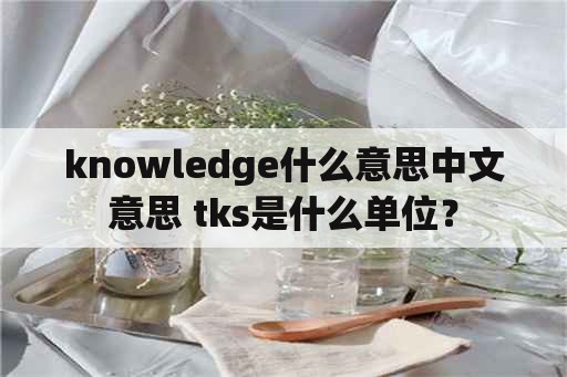 knowledge什么意思中文意思 tks是什么单位？