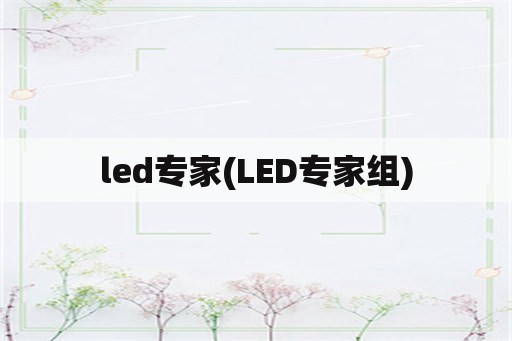 led专家(LED专家组)