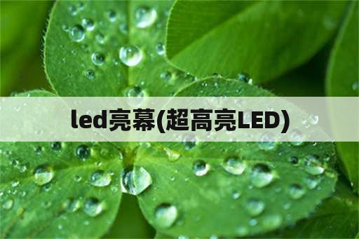 led亮幕(超高亮LED)
