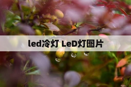 led冷灯 LeD灯图片