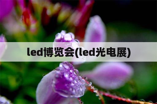 led博览会(led光电展)