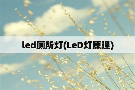 led厕所灯(LeD灯原理)