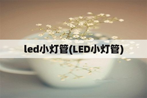 led小灯管(LED小灯管)