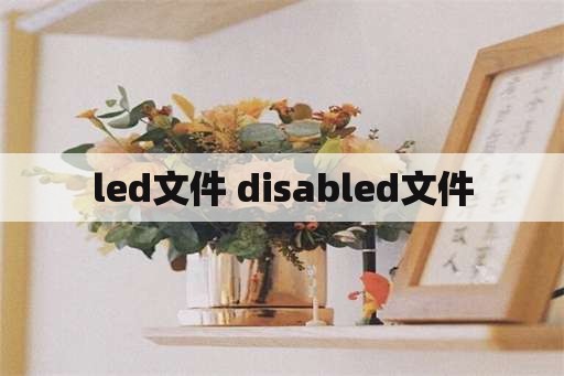 led文件 disabled文件
