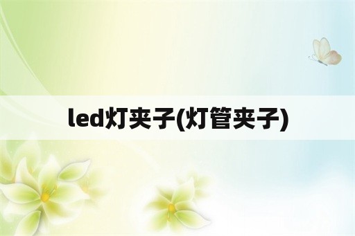 led灯夹子(灯管夹子)