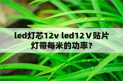 led灯芯12v led12Ⅴ贴片灯带每米的功率？