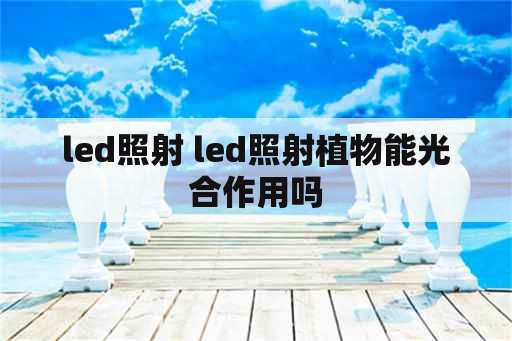 led照射 led照射植物能光合作用吗