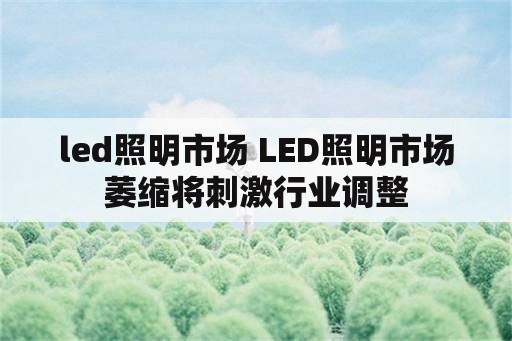 led照明市场 LED照明市场萎缩将刺激行业调整