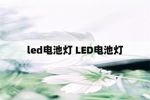 led电池灯 LED电池灯