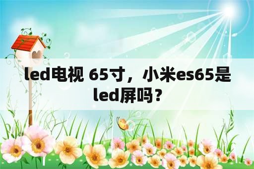 led电视 65寸，小米es65是led屏吗？