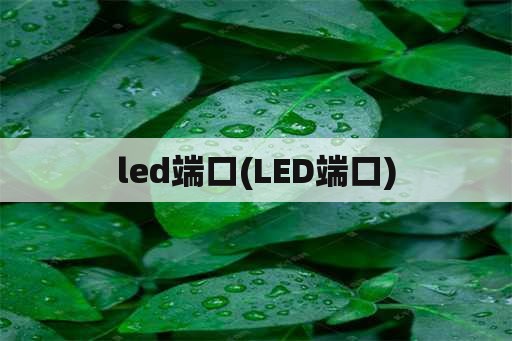led端口(LED端口)