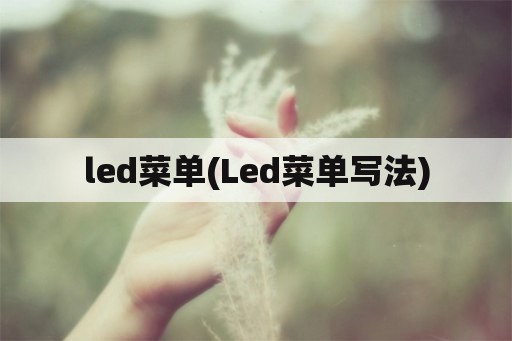 led菜单(Led菜单写法)