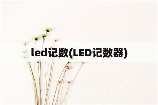 led记数(LED记数器)