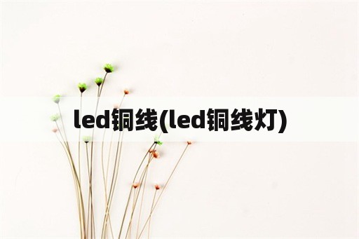 led铜线(led铜线灯)