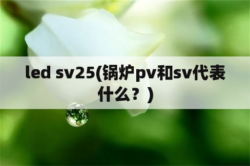 led sv25(锅炉pv和sv代表什么？)
