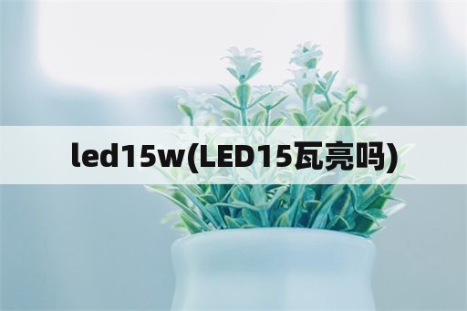 led15w(LED15瓦亮吗)