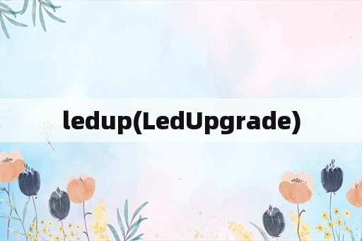 ledup(LedUpgrade)
