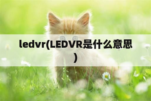 ledvr(LEDVR是什么意思)