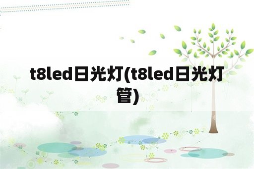 t8led日光灯(t8led日光灯管)