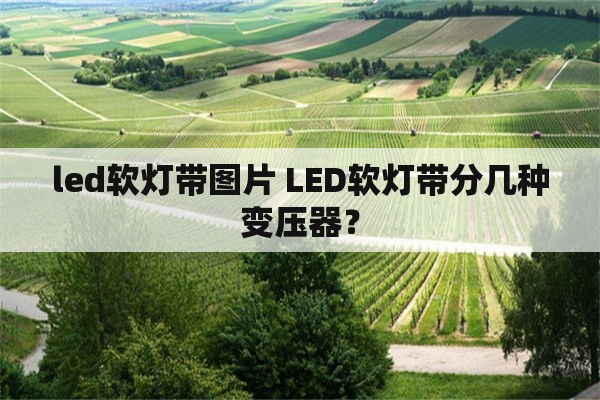 led软灯带图片 LED软灯带分几种变压器？