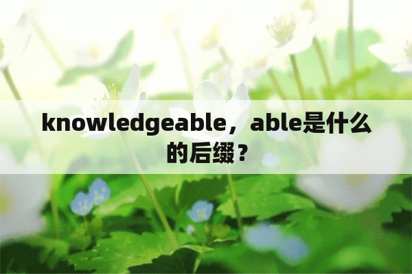 knowledgeable，able是什么的后缀？