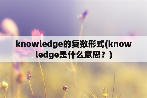 knowledge的复数形式(knowledge是什么意思？)