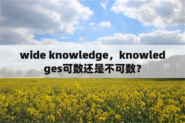 wide knowledge，knowledges可数还是不可数？
