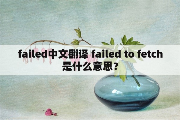 failed中文翻译 failed to fetch是什么意思？