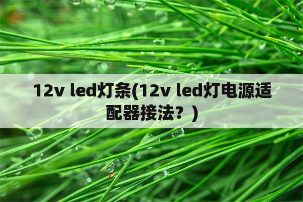 12v led灯条(12v led灯电源适配器接法？)
