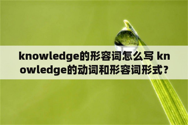 knowledge的形容词怎么写 knowledge的动词和形容词形式？