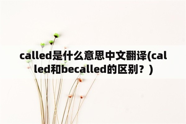 called是什么意思中文翻译(called和becalled的区别？)
