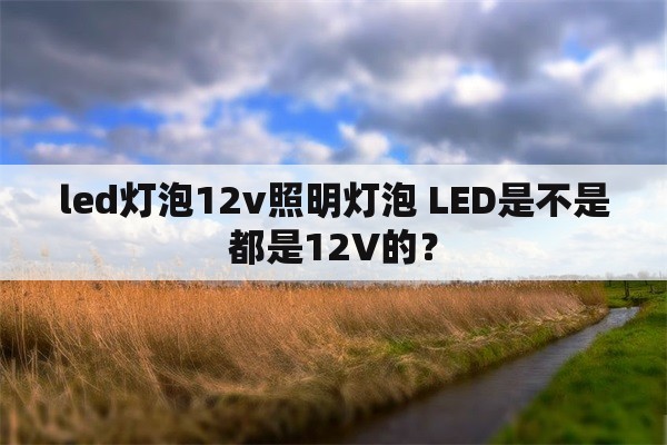 led灯泡12v照明灯泡 LED是不是都是12V的？