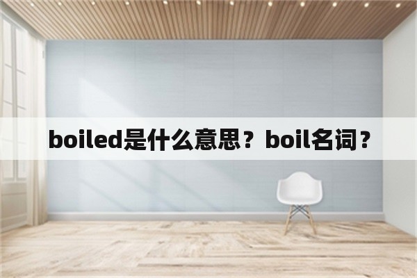 boiled是什么意思？boil名词？